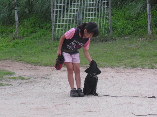 各種メニュー 料金表 清水警察犬 家庭犬訓練所 群馬県伊勢崎市