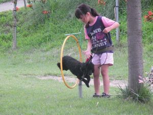 トップページ 清水警察犬 家庭犬訓練所 群馬県伊勢崎市